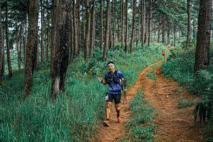 BIB: 
                            <button type="button" onclick="openModal(25672008)" class="btn btn-primary btn-sm float-right btn-popup" data-toggle="modal" data-target=".modal-high-quality">
                        <i class="fas fa-shopping-cart"></i> Add to Cart
                    </button>
                                            <button type="button" onclick="isThisMe(25672008, true)" class="btn btn-success btn-sm float-right btn-popup btn-isme hidden" data-toggle="tooltip" data-placement="bottom" title="นี่คือรูปของคุณใช่ไหม คลิกที่นี่เพื่อเอาเข้าอัลบั้ม">
                        <i class="fas fa-plus"></i> Add to album
                    </button>
                    <button type="button" onclick="isThisMe(25672008, false)" class="btn btn-warning btn-sm float-right btn-popup btn-isnotme hidden">
                        <i class="fas fa-ban"></i> Remove from album
                    </button>